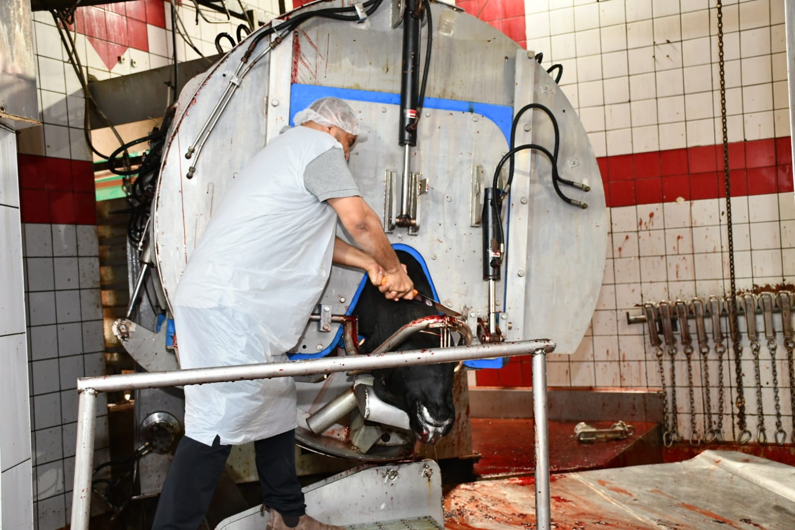 WhatsApp Image 2020-07-31 at 11.28.31 AM (2).jpeg.jpeg